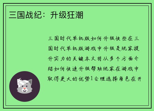 三国战纪：升级狂潮